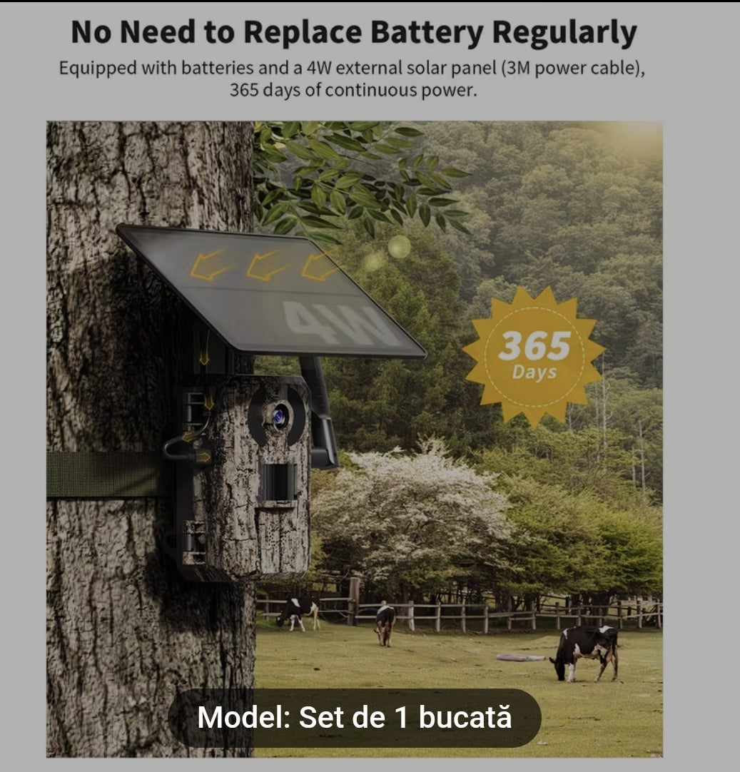 Camera monitorizare