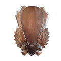Panoplie Sculptata, Pentru Trofeu Caprior, Lemn, Maro Inchis, 20X29 Cm ProTEREN - Panoplii trofee - imagine produs ProTEREN
